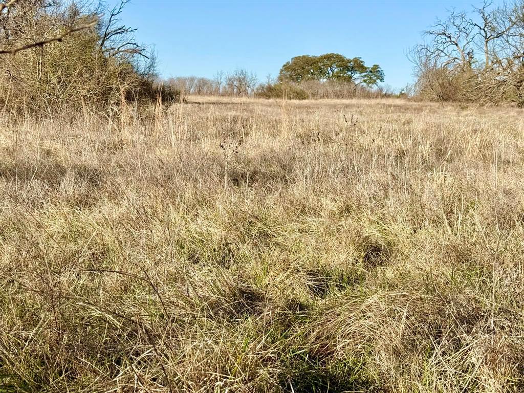 The Ranches At Comanche Valley - Land