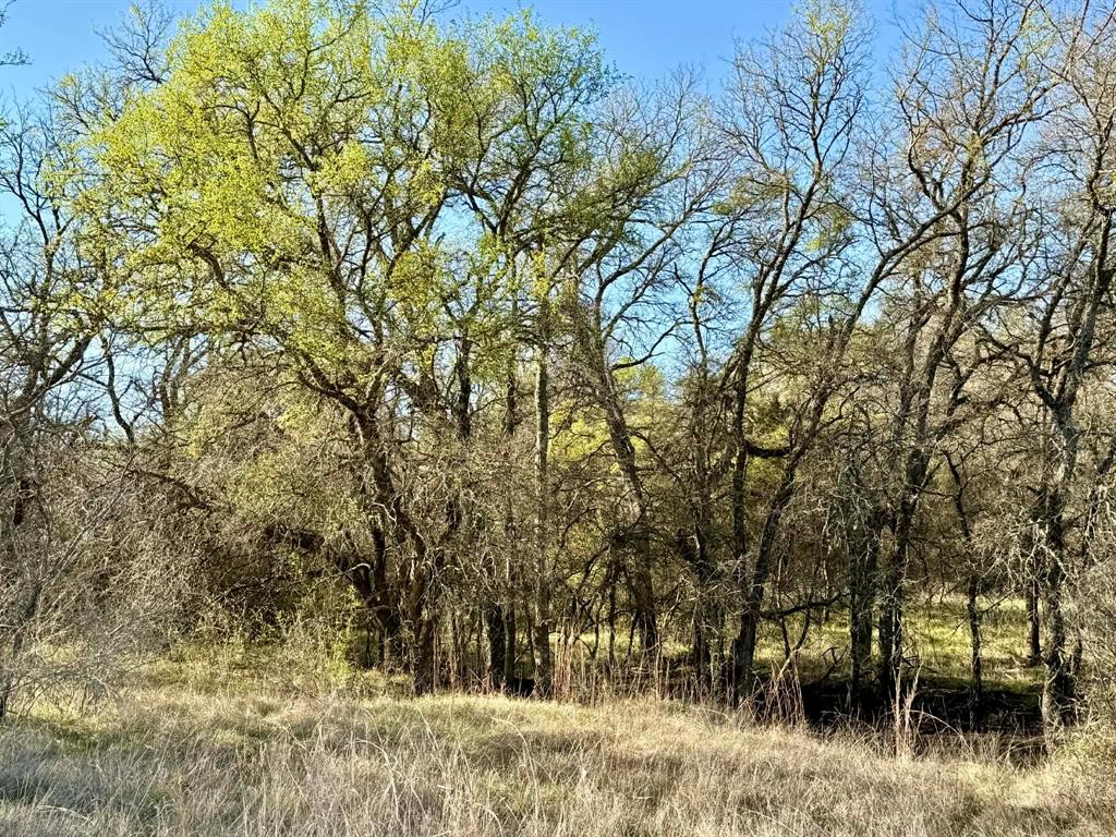 The Ranches At Comanche Valley - Land