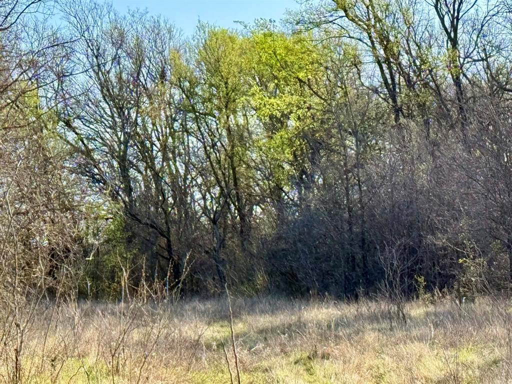 The Ranches At Comanche Valley - Land
