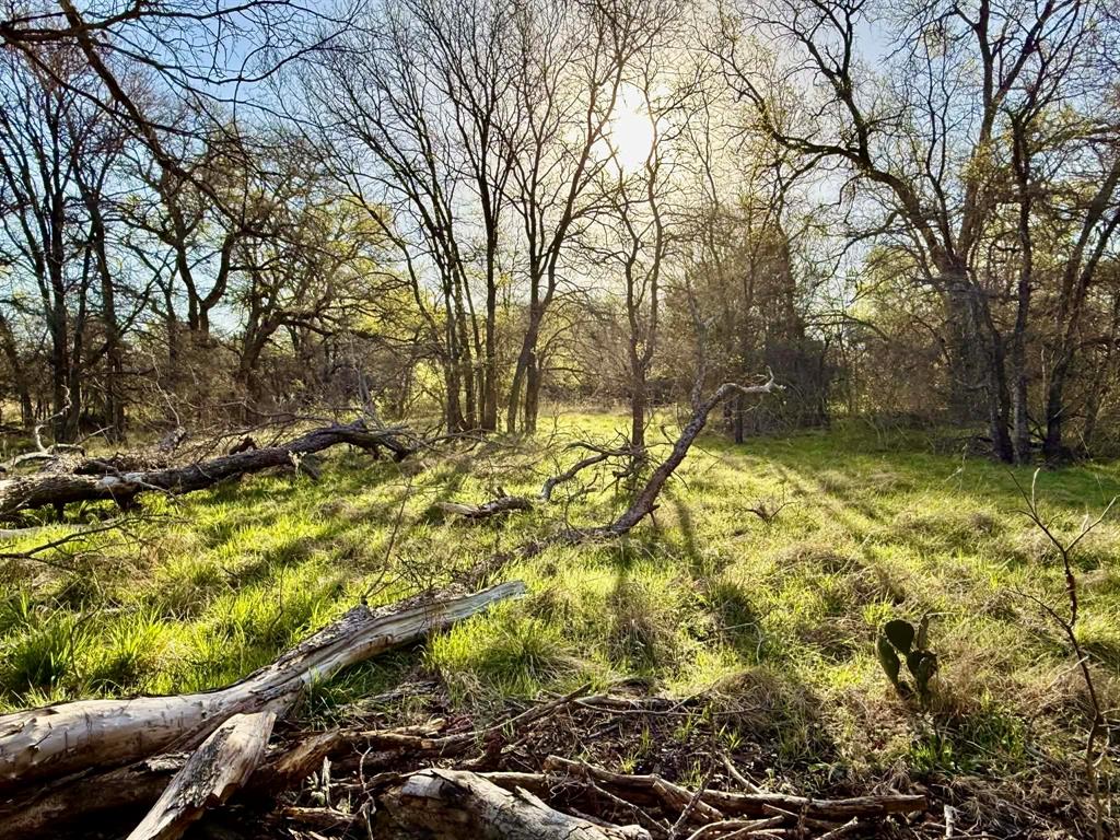 The Ranches At Comanche Valley - Land