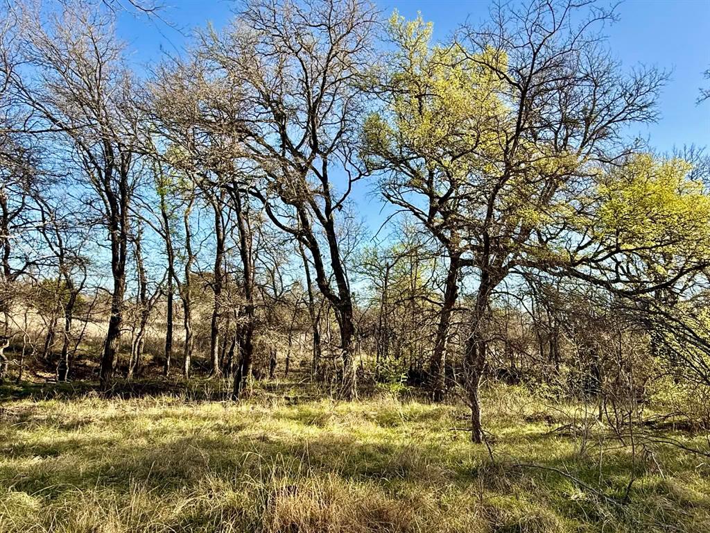 The Ranches At Comanche Valley - Land