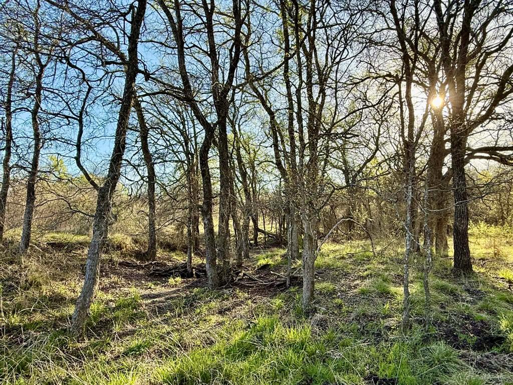 The Ranches At Comanche Valley - Land