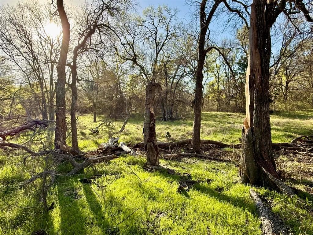 The Ranches At Comanche Valley - Land