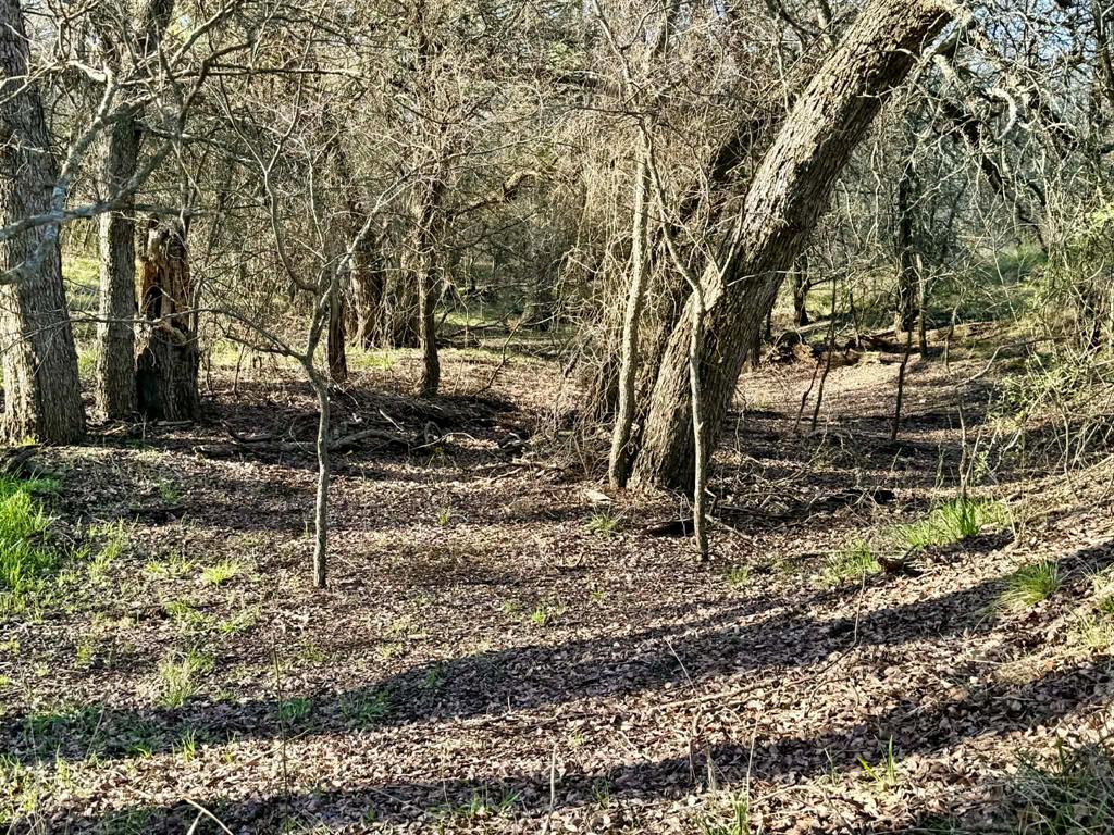 The Ranches At Comanche Valley - Land