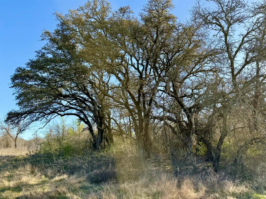 The Ranches At Comanche Valley - Land