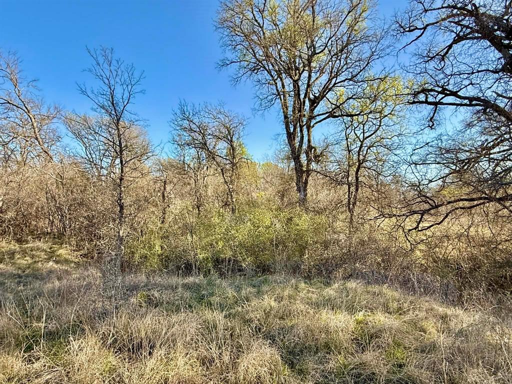 The Ranches At Comanche Valley - Land