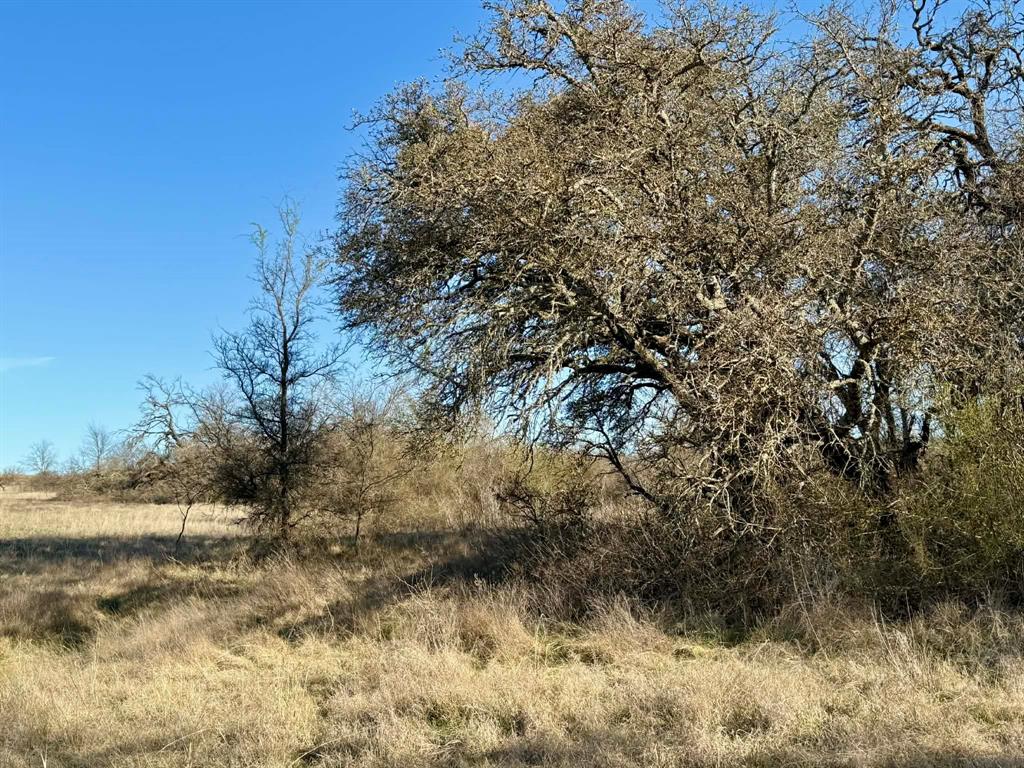 The Ranches At Comanche Valley - Land