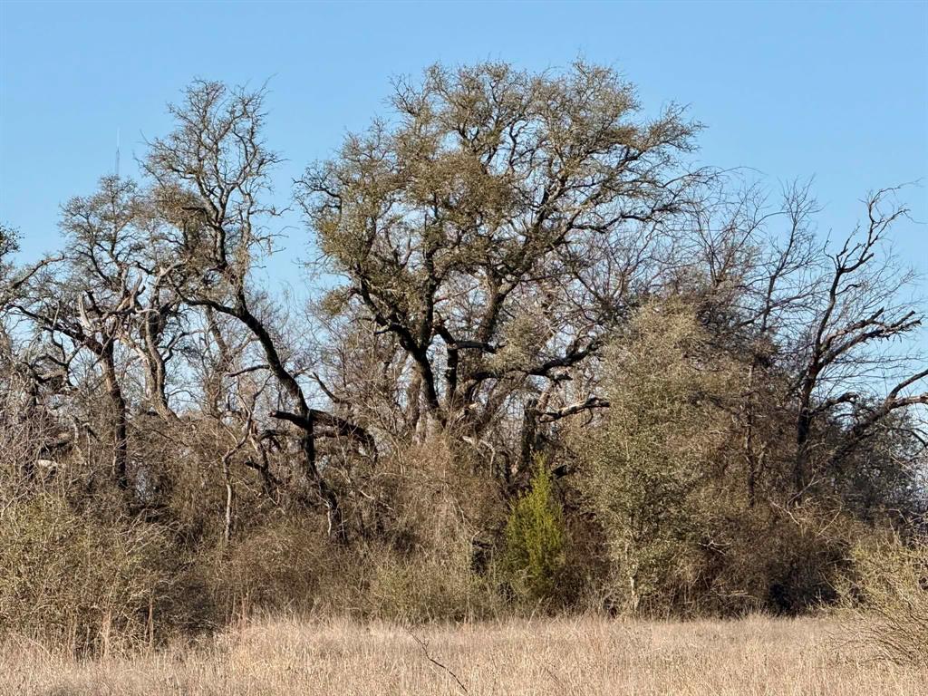 The Ranches At Comanche Valley - Land