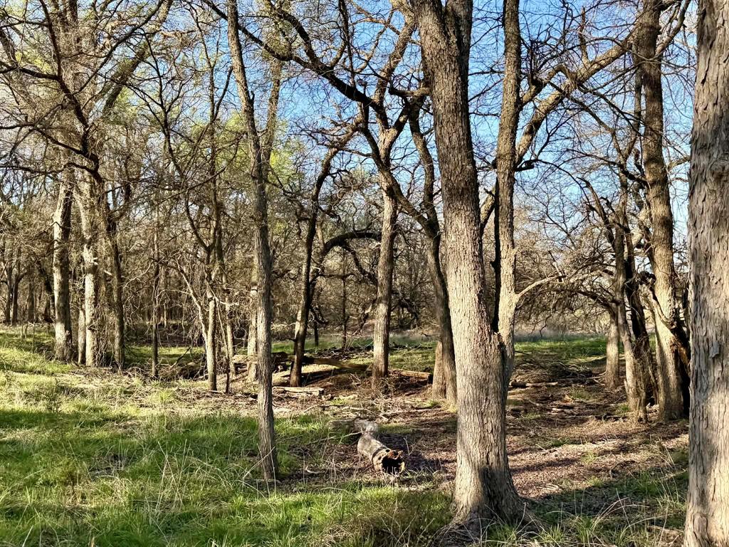 The Ranches At Comanche Valley - Land