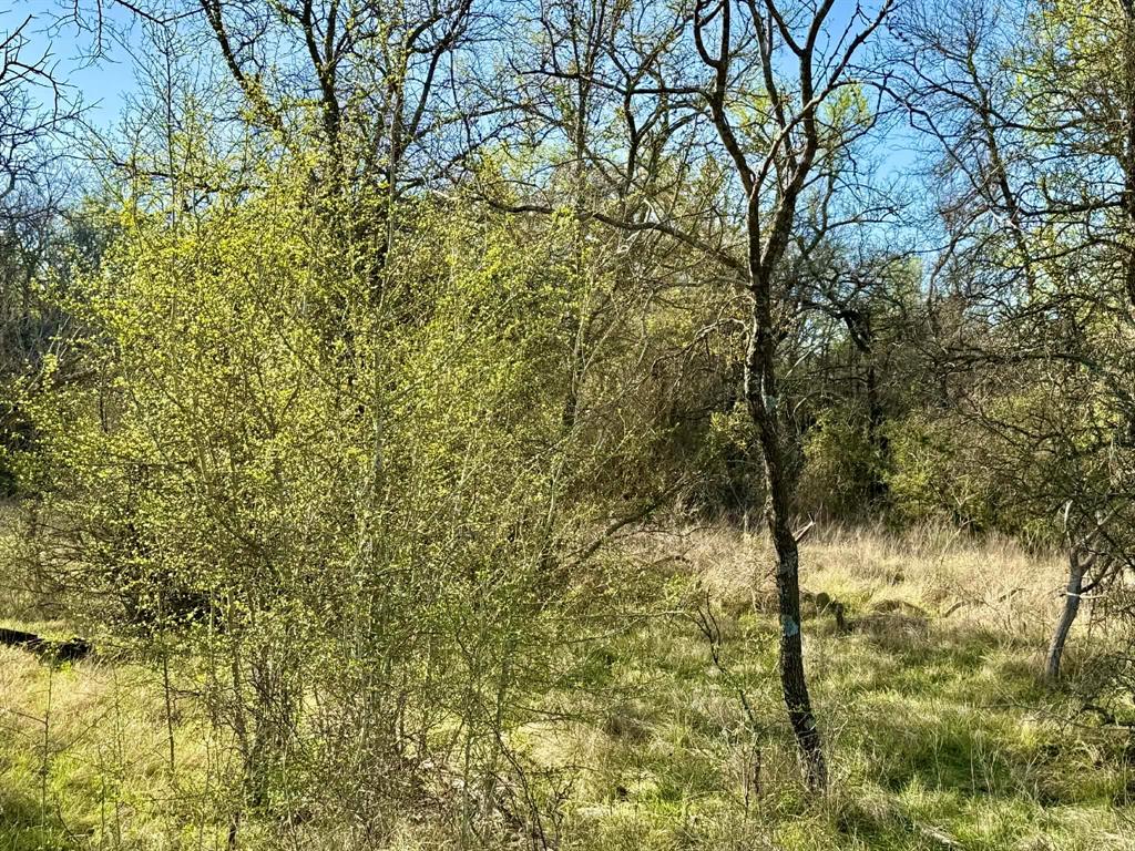 The Ranches At Comanche Valley - Land