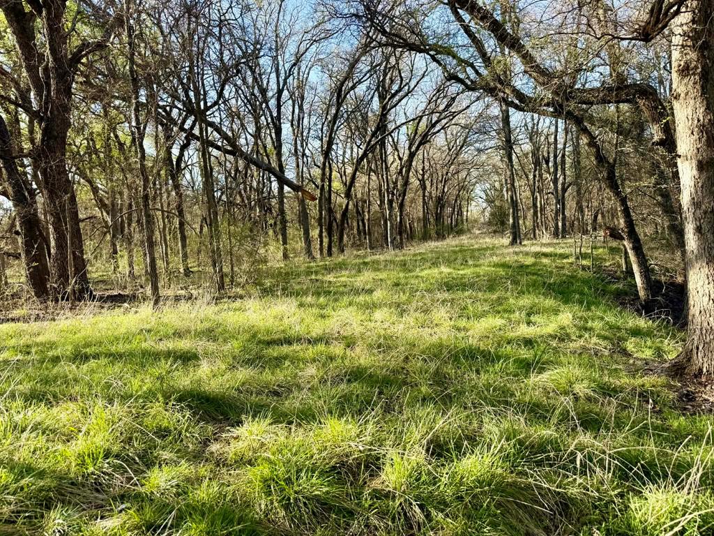 20.02 Acres - The Ranches at Comanche Valley  Tract 22
Discover the perfect blend of open pasture and mature hardwoods on this naturally beautiful 20.02-acre tract located in the Ranches at Comanche Valley. Ideally situated near the Edna Hill-Proctor area and just minutes from Proctor Lake, this property offers the peace, privacy, and potential.
Approximately two-thirds of the property is open with quality native grasses.  Perfect for grazing.  While the remaining acreage is covered with large, mature oak trees that provide shade, character, and is excellent wildlife habitat. Abundant deer and turkey roam the property, making it a great option for recreation or hunting.
With electricity already in place and an agricultural exemption established, this property is well-suited for a refined country estate, private retreat, or legacy investment. Light deed restrictions help preserve the integrity of the area while still allowing you the freedom to create a property that reflects your vision. Bring your livestock and enjoy the benefits of country living.  
Located within Comanche ISD, this property features multiple scenic build sites.  Ideal for your dream home, weekend getaway, or future homestead. Quiet, private, and full of potential, this is the kind of place you don’t come across often.
Come take a look!  This one won’t last long!