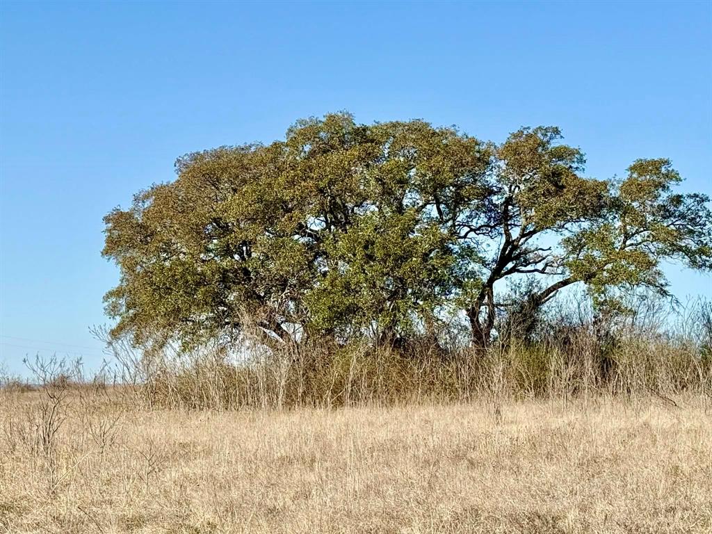 The Ranches At Comanche Valley - Land