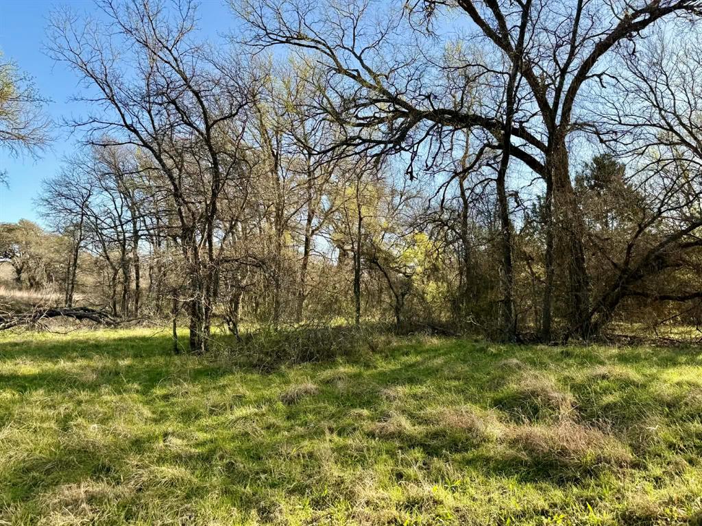 The Ranches At Comanche Valley - Land
