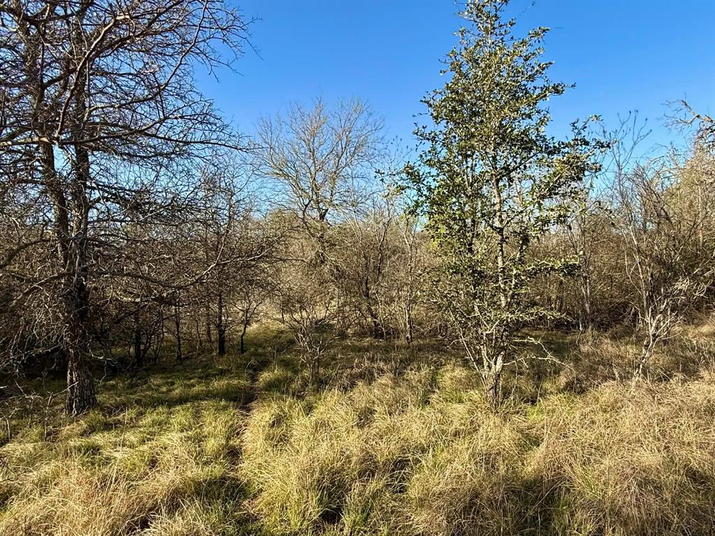 The Ranches At Comanche Valley - Land