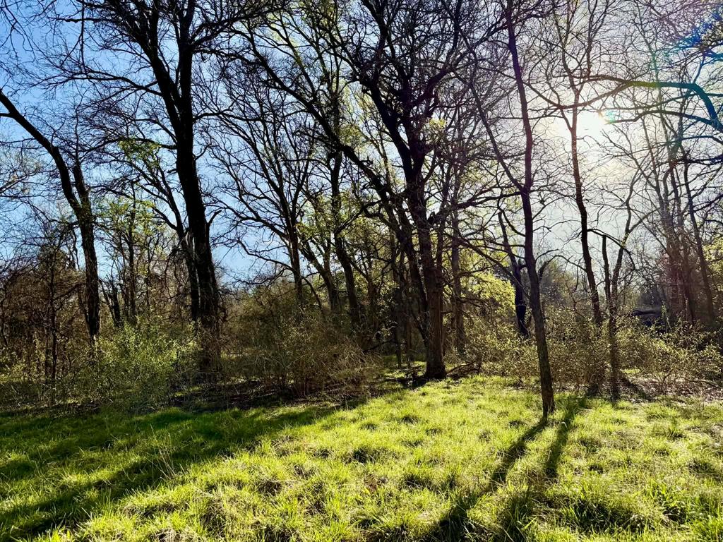 The Ranches At Comanche Valley - Land