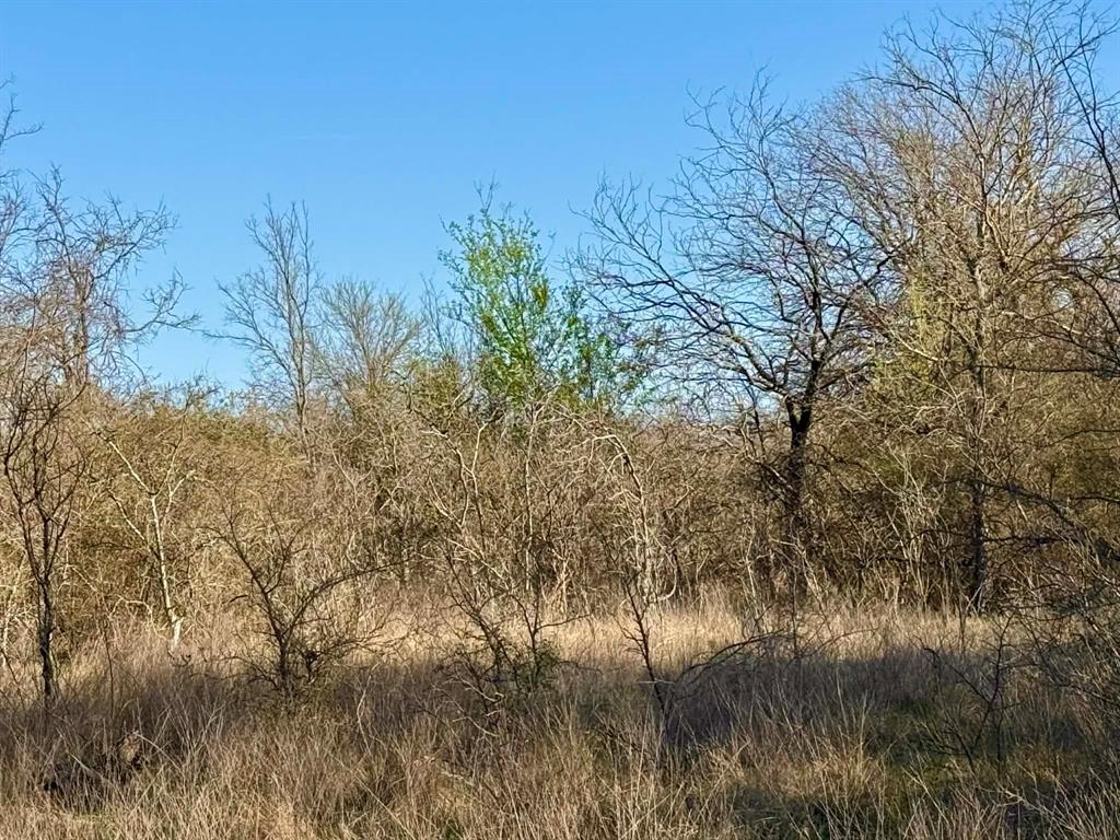 The Ranches At Comanche Valley - Land