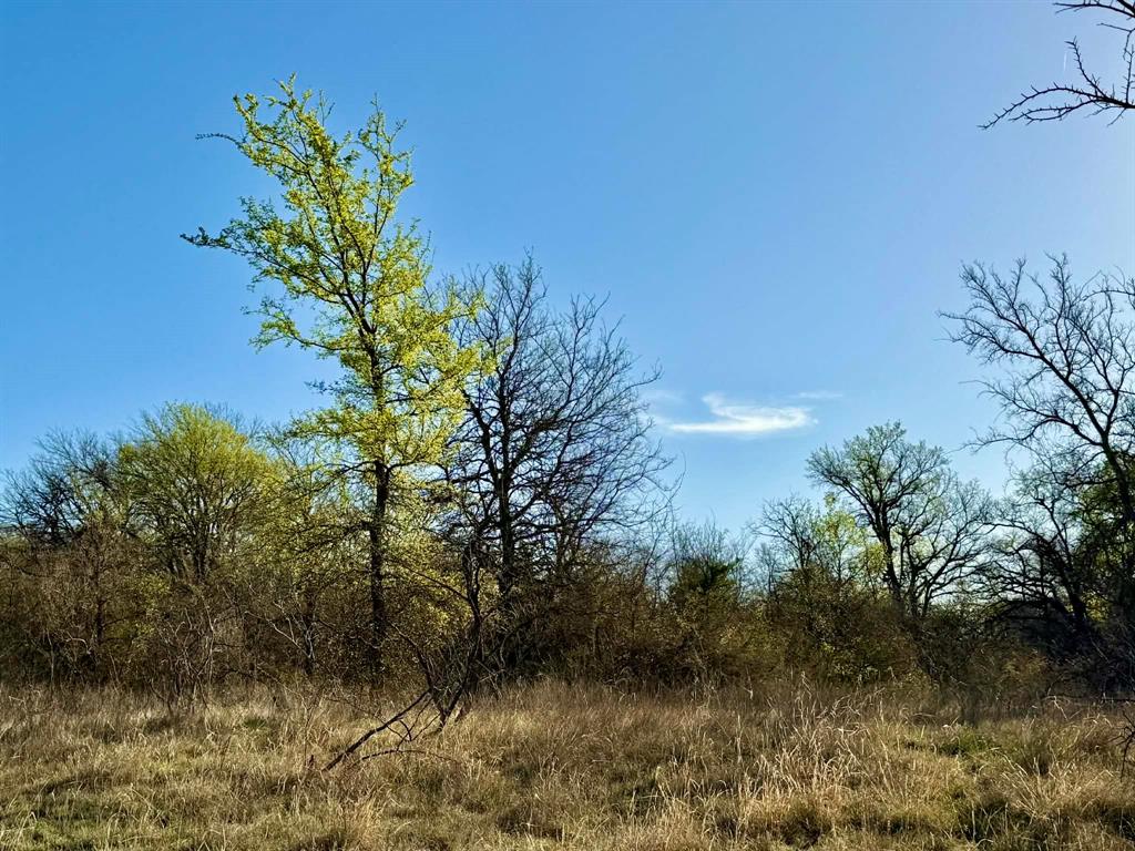 The Ranches At Comanche Valley - Land