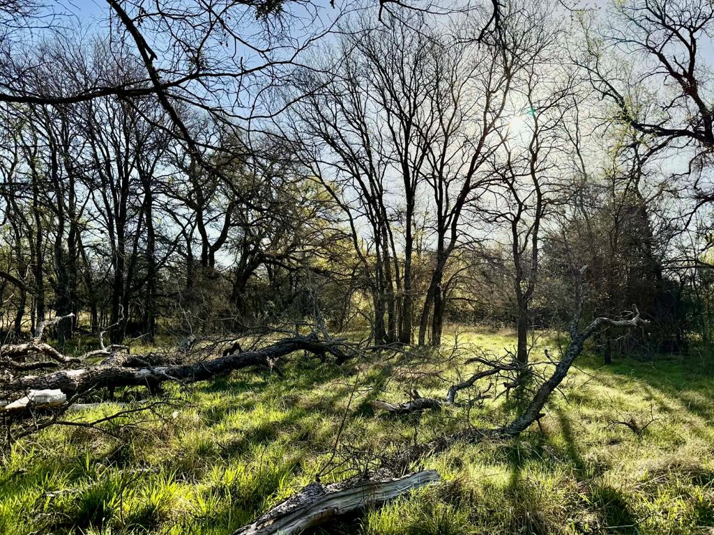 The Ranches At Comanche Valley - Land