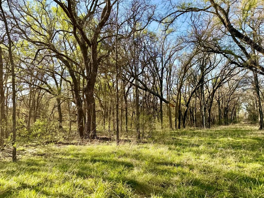 The Ranches At Comanche Valley - Land