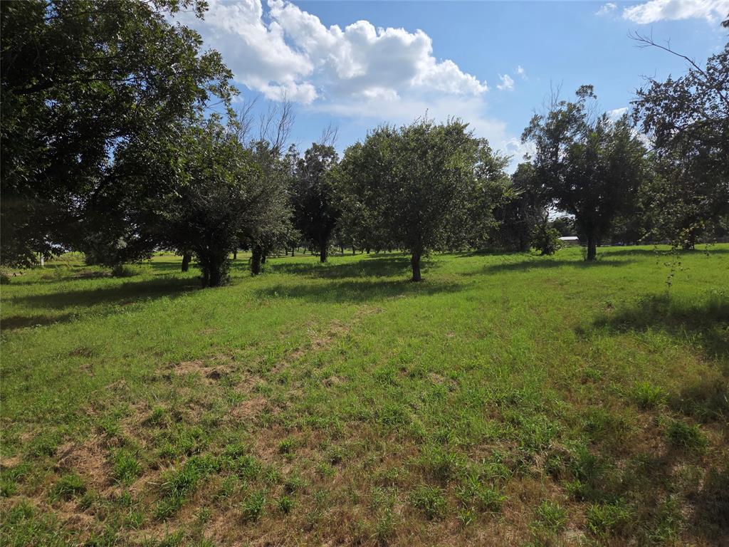 The Orchards On The Brazos - Land
