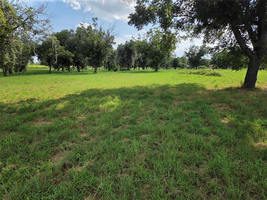 The Orchards On The Brazos - Land