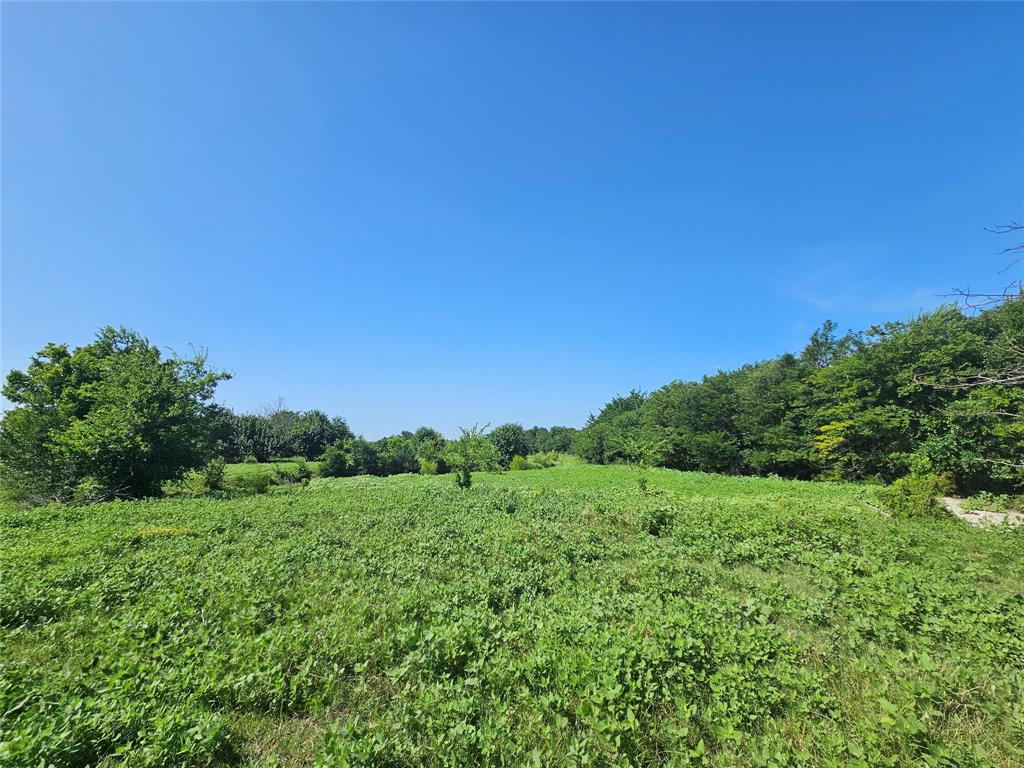 A0527 - Land