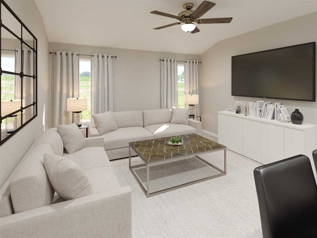 Palmilla Springs - Residential