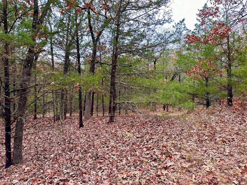 Cross Timber Estates - Land