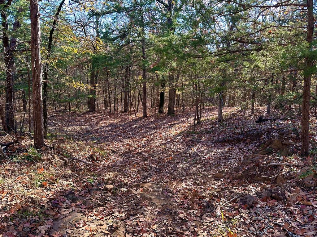 Cross Timber Estates - Land