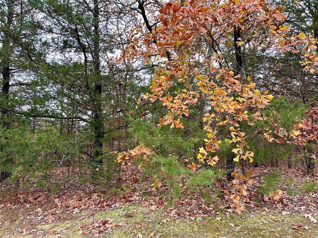 Cross Timber Estates - Land
