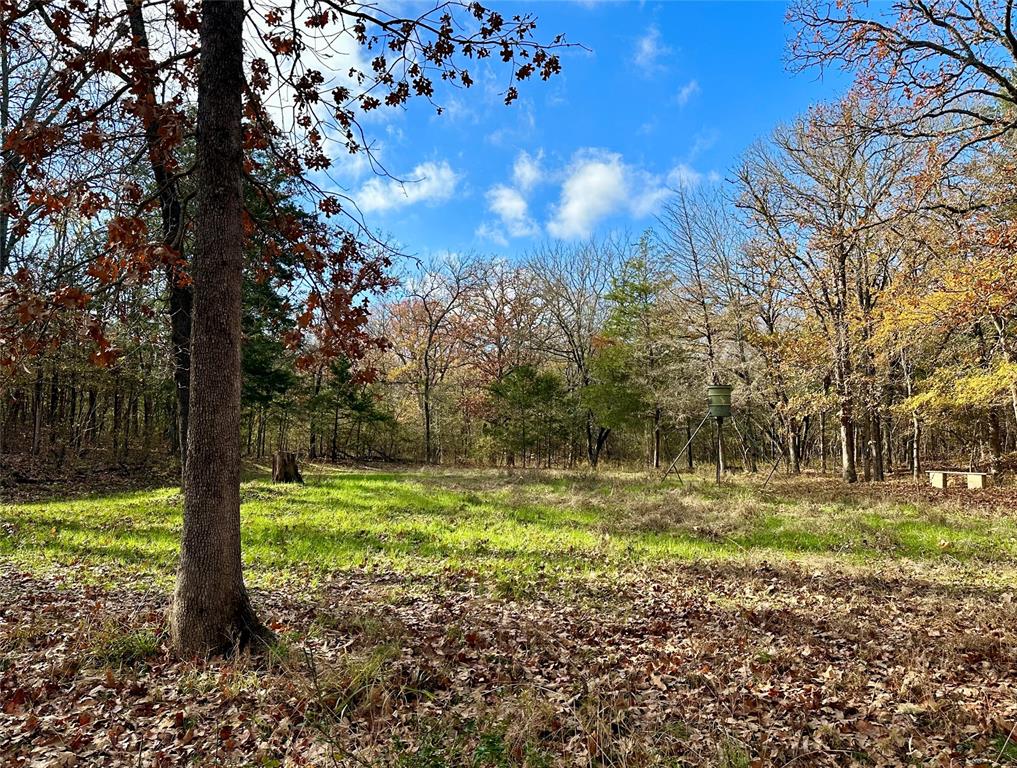 Cross Timber Estates - Land