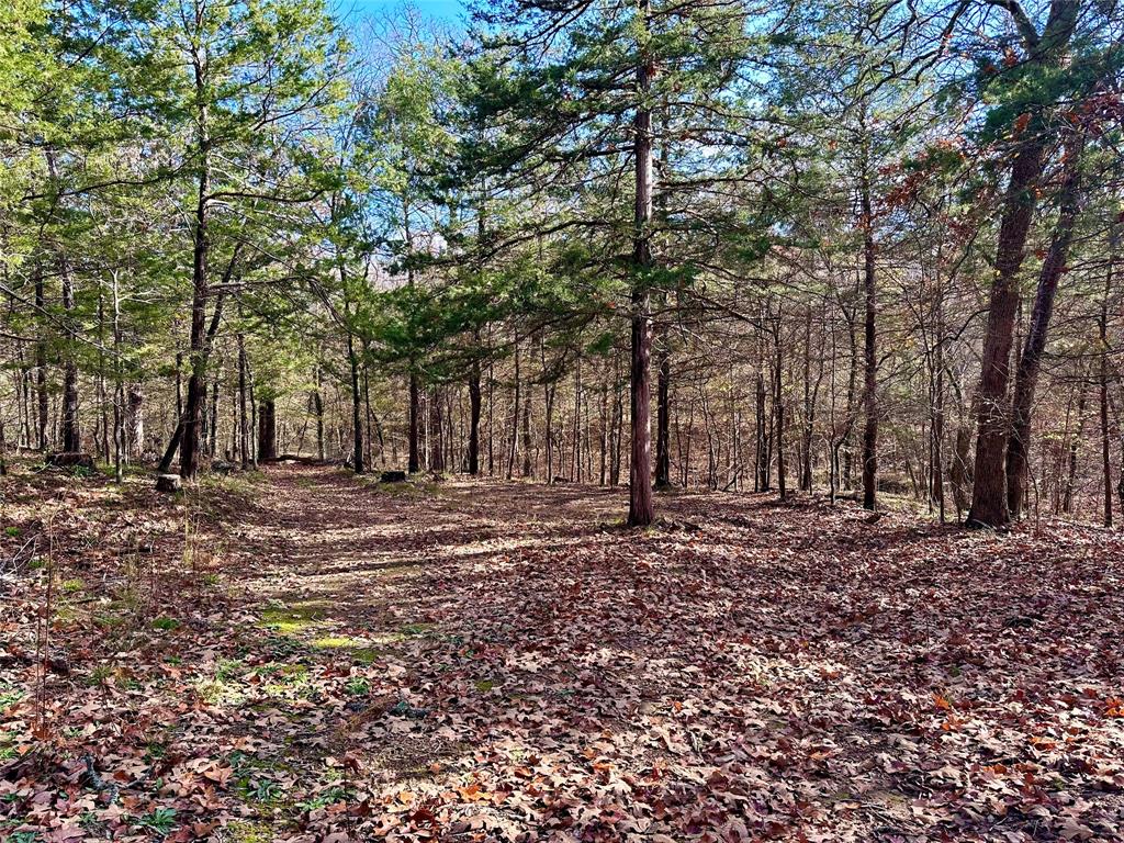 Cross Timber Estates - Land