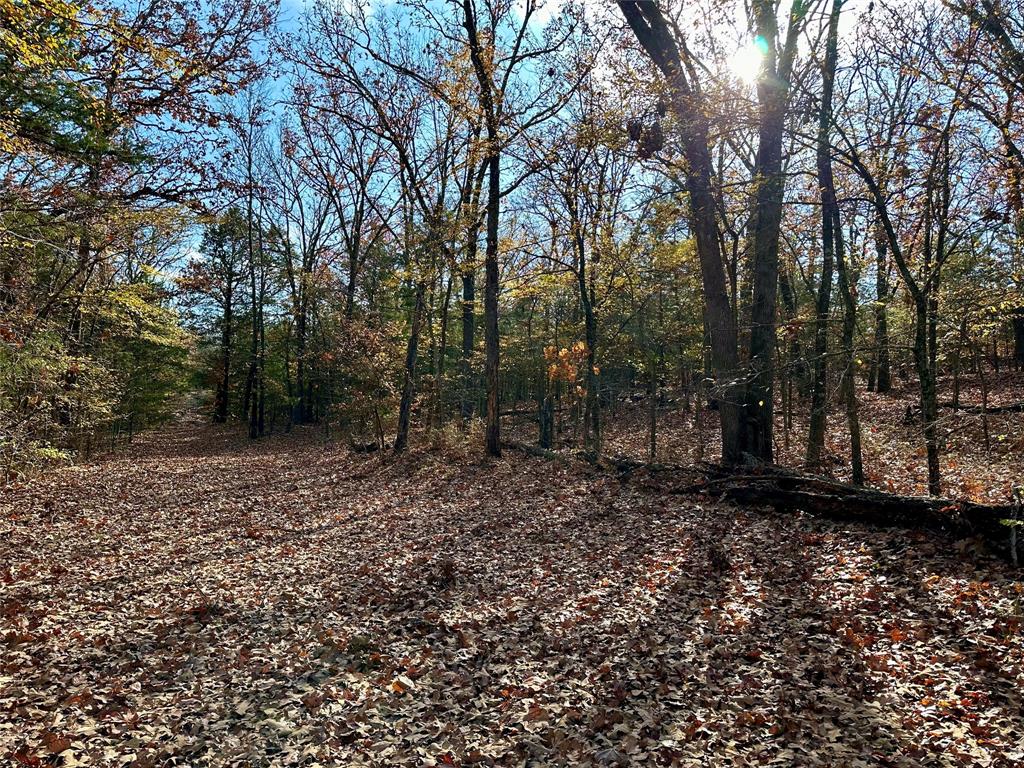 Cross Timber Estates - Land