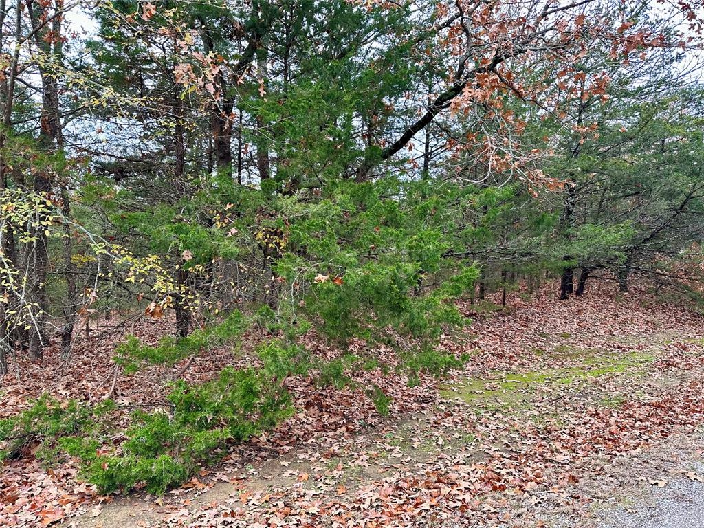 Cross Timber Estates - Land