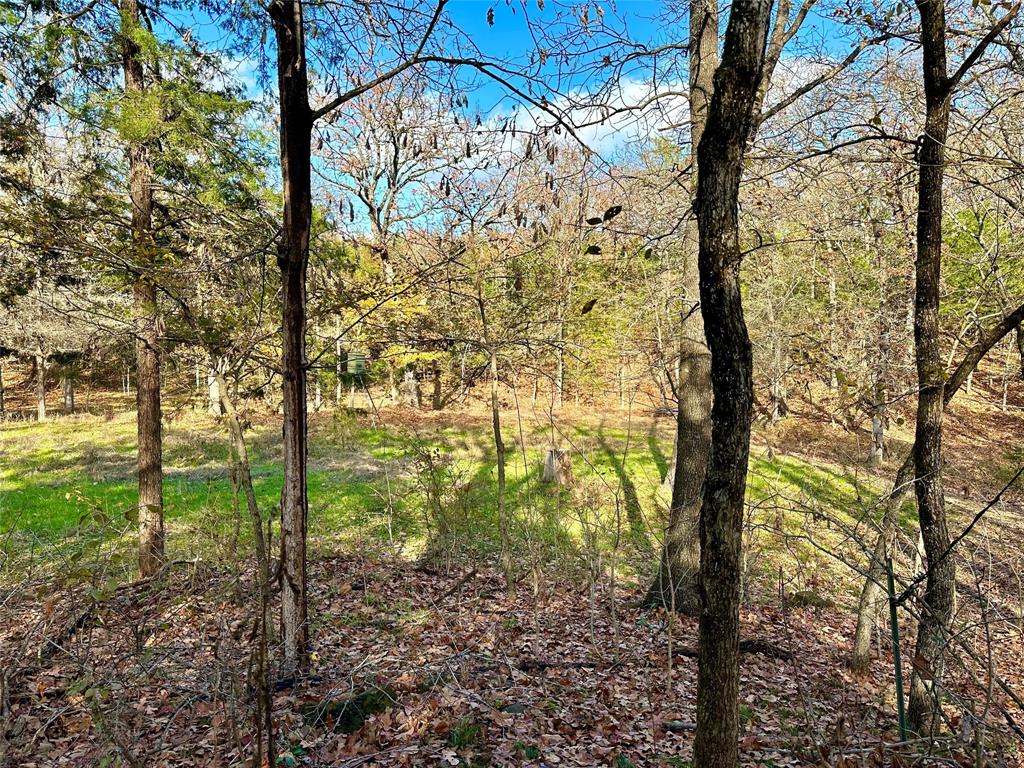 Cross Timber Estates - Land