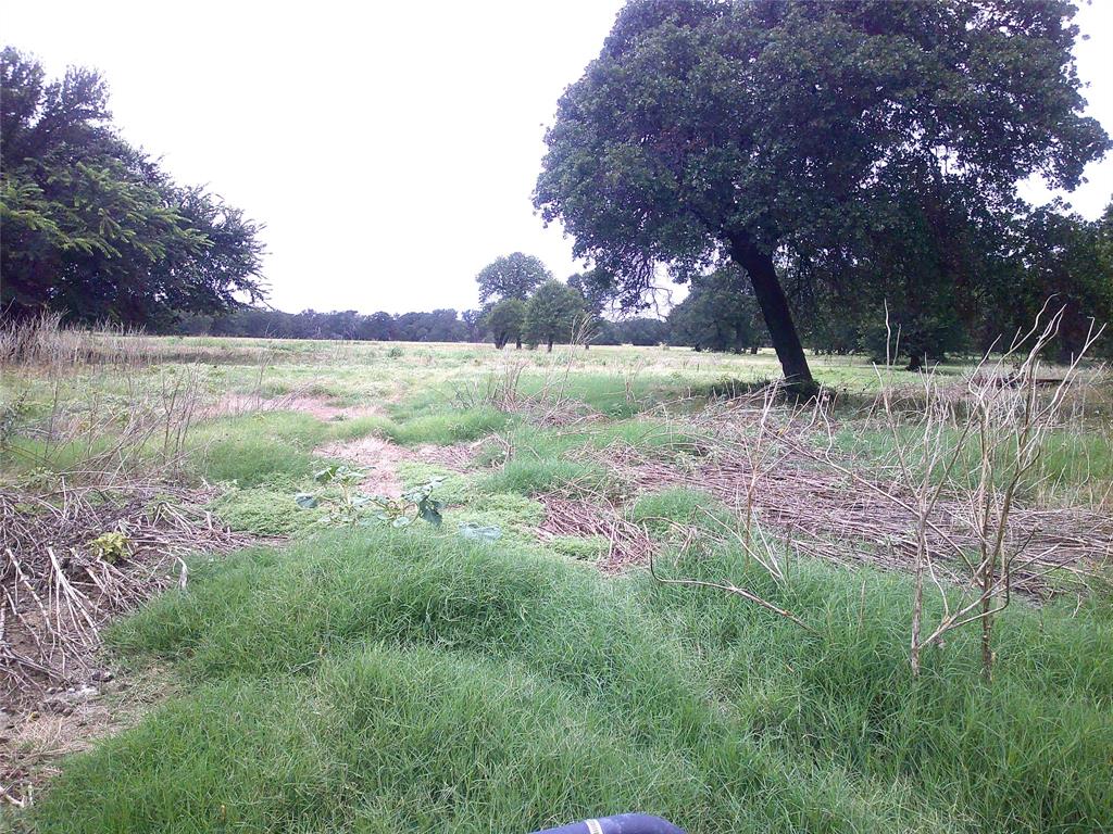 none - Farm