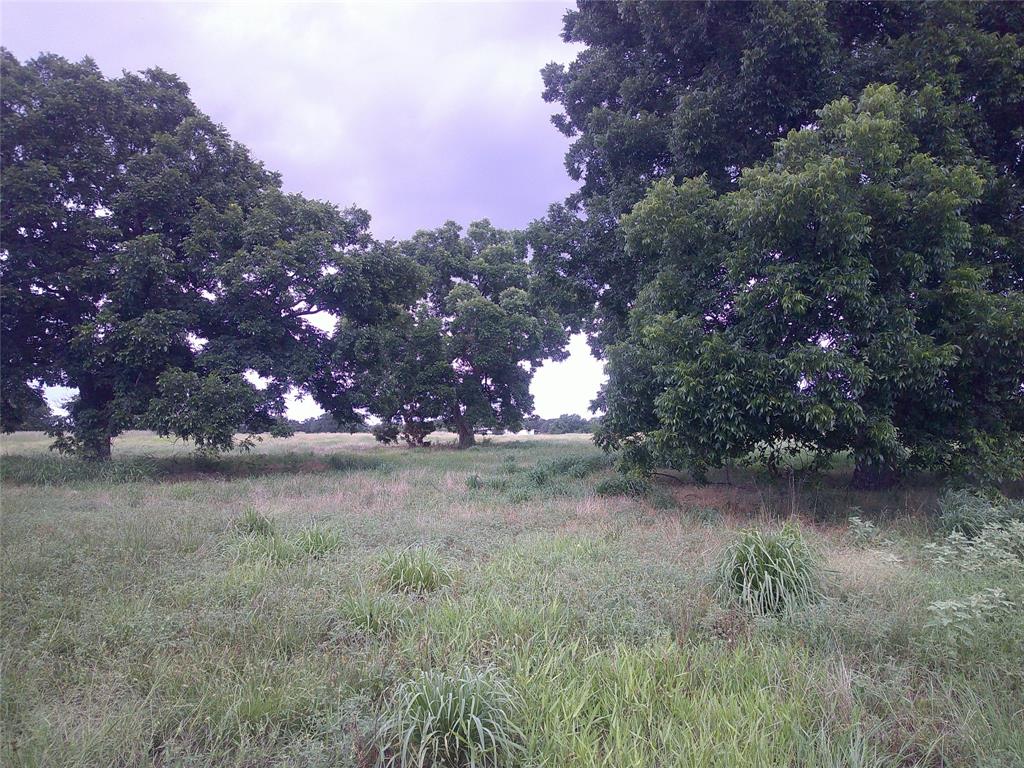 none - Farm