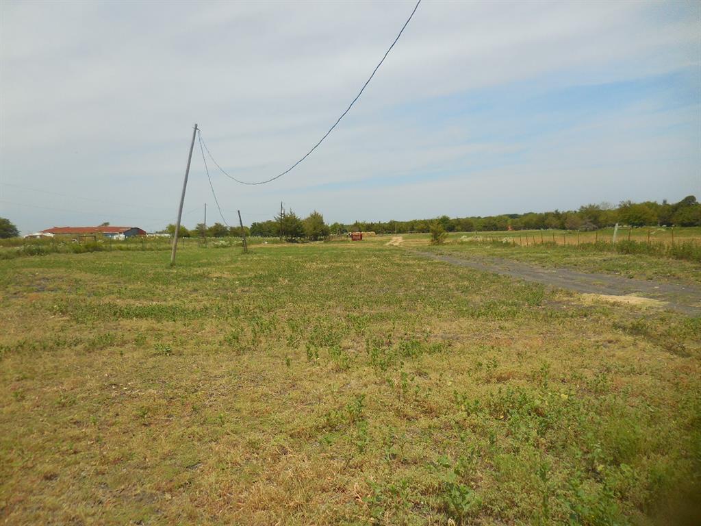 Felix Foster - Farm