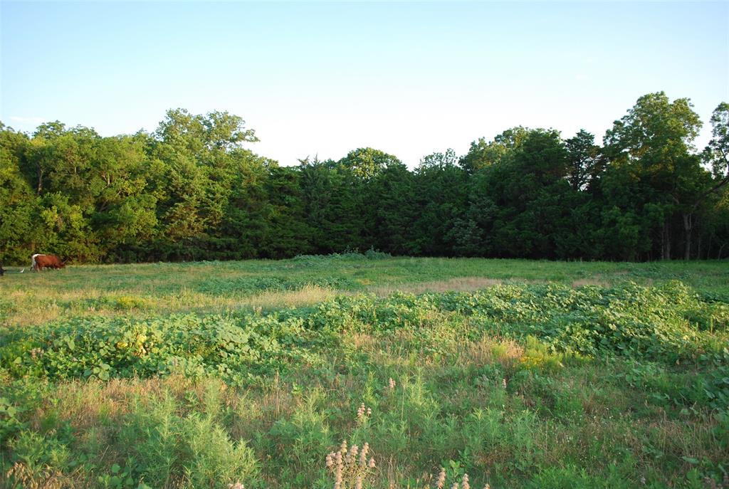 Le Ruisseau - Land