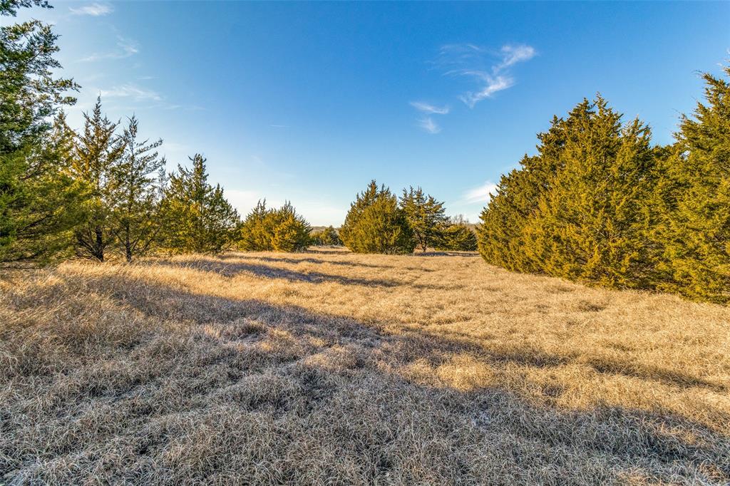 A1249 - W MATHEWS - Land