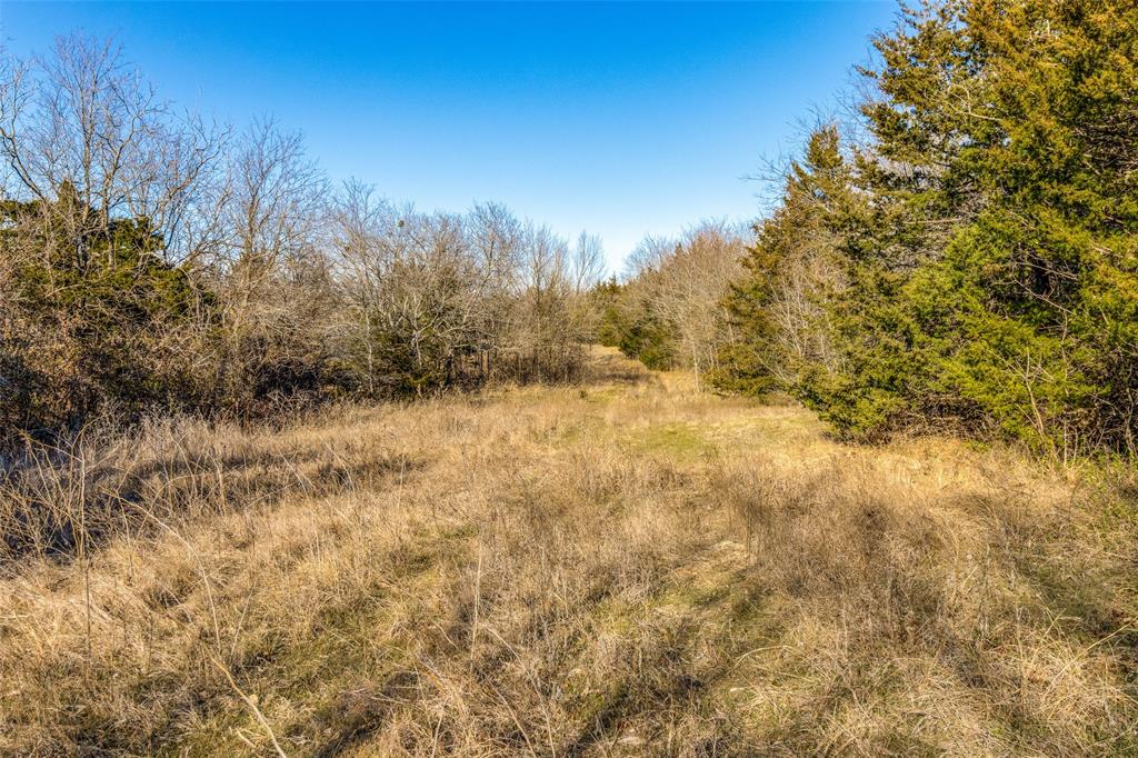 A1249 - W MATHEWS - Land
