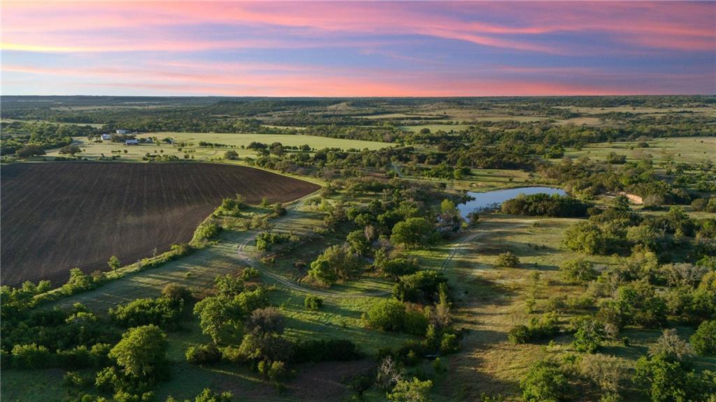 WM Haddin - Farm