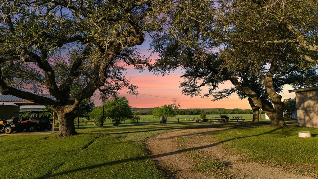 WM Haddin - Farm