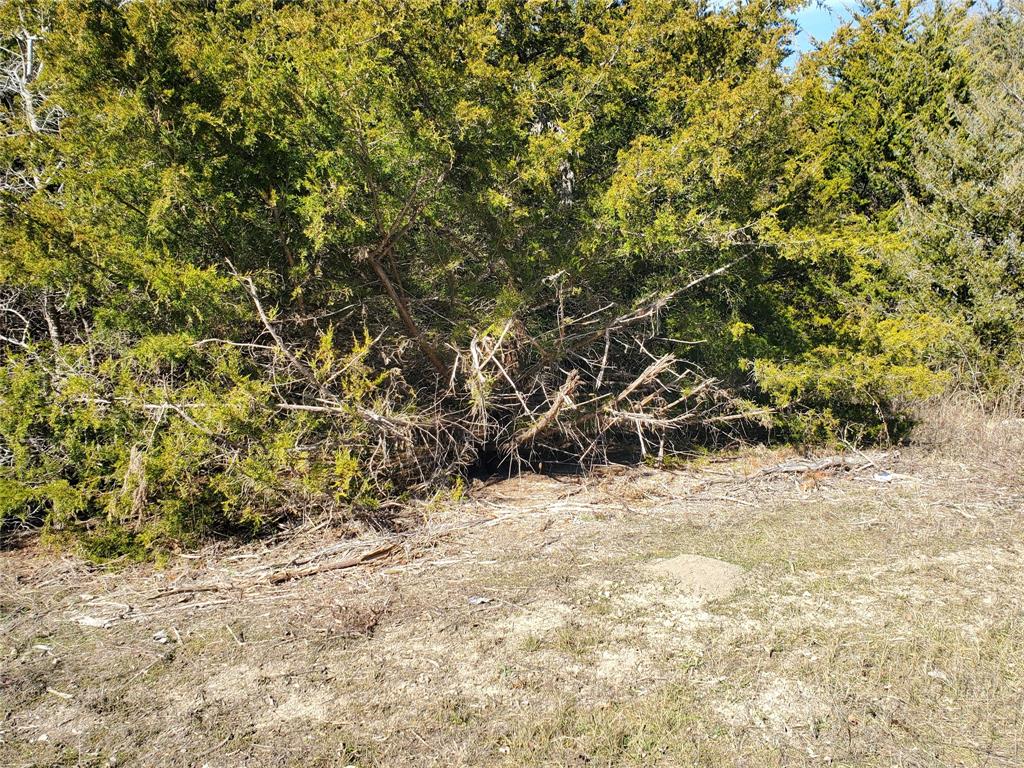 A0773 M Moore, Acres 45.0 - Land