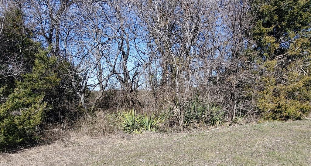A0773 M Moore, Acres 45.0 - Land