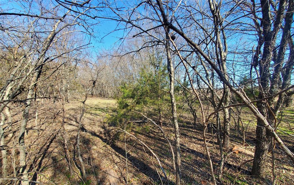 A0773 M Moore, Acres 45.0 - Land