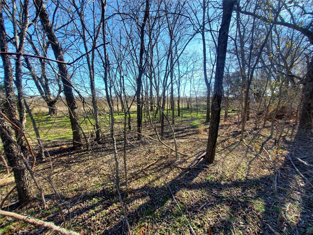 A0773 M Moore, Acres 45.0 - Land