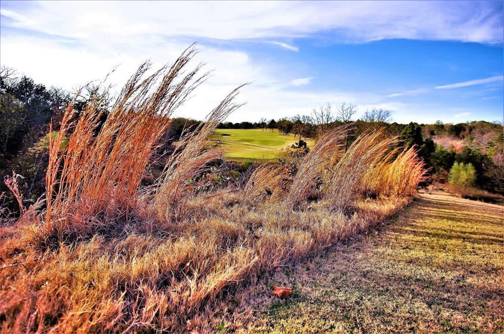 Pronghorn Add - Land