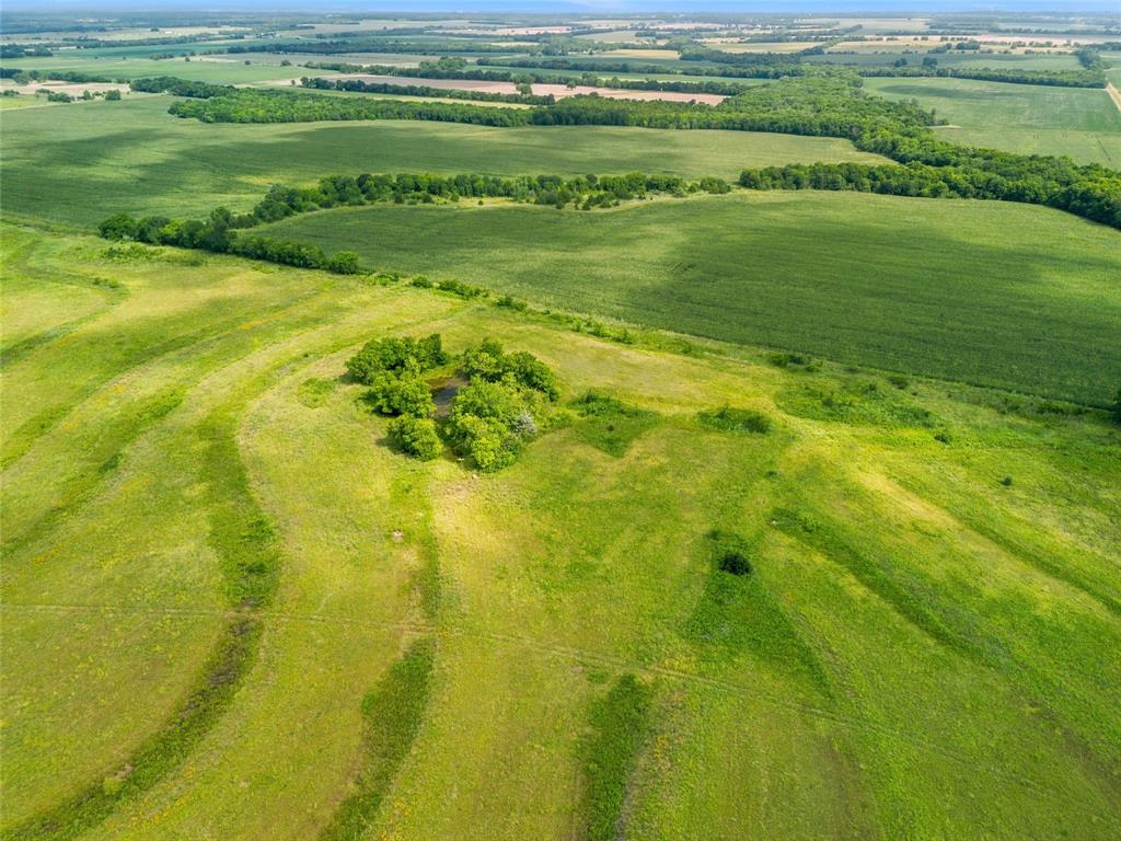 Beautiful DRYLAND CROPLAND. Farmland that has not been farmed in many years with a pond surrounded by large gorgeous trees.  This property is a great place to build your dream home or compound and still have many acres to plant your crops! Priced to sell, so don't delay. Call your real estate professional today!

There is a water meter at the front of the property. 

This is just outside Commerce, Texas near Pecan Gap. Commerce is the home of East Texas A&M University