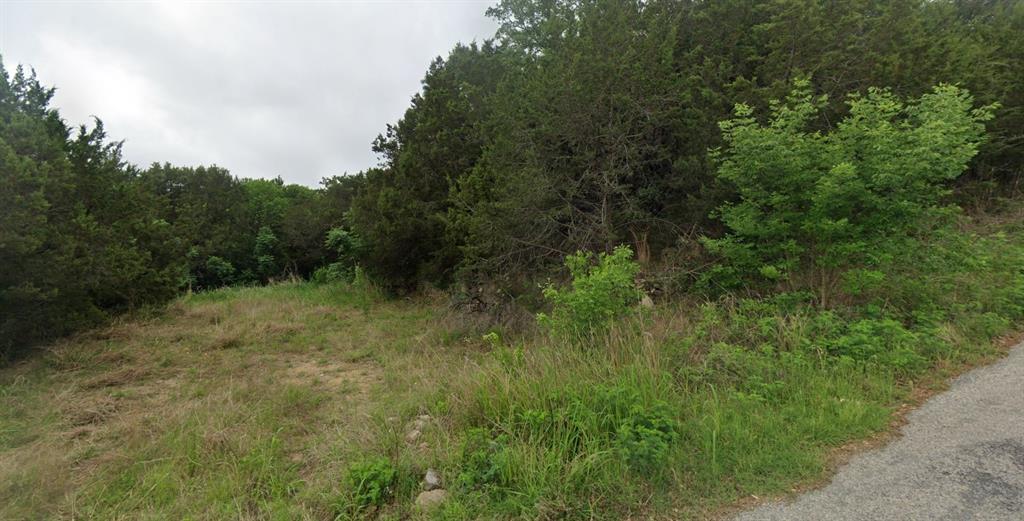 Oak Trail Shores - Land